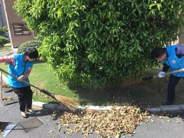 MG不朽情缘(中国区)官方网站