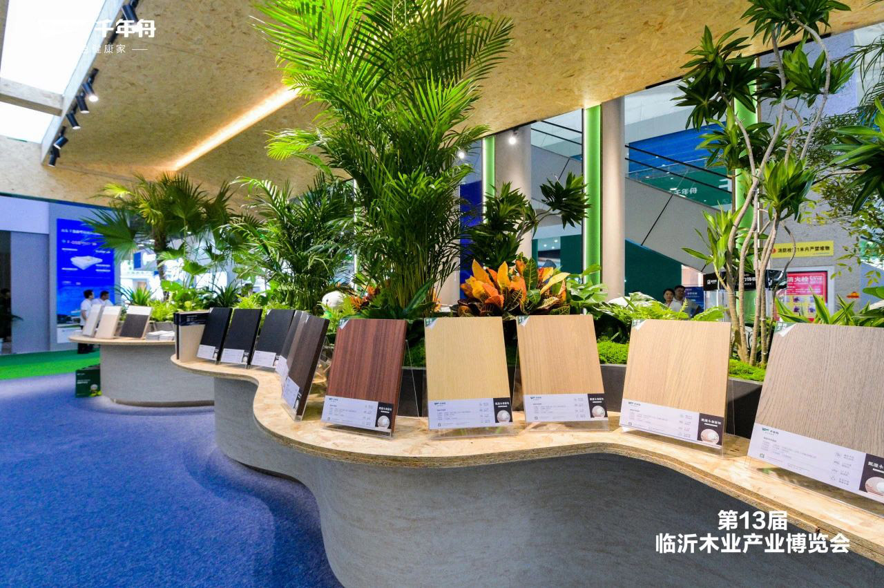 MG不朽情缘(中国区)官方网站